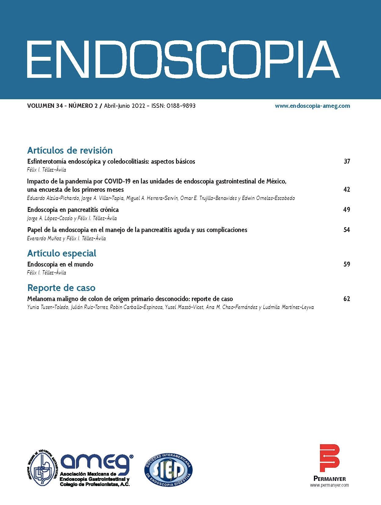 Revista Endoscopia